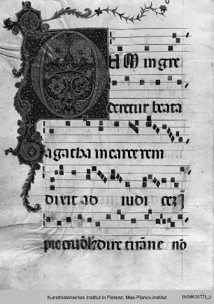 Antifonarium S aus San Domenico, Perugia : Initale O mit anthropomorpher Ornamentik