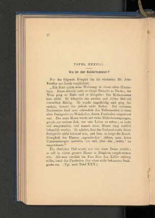 Tafel XXXVIII. Wo ist der Kellermeister?