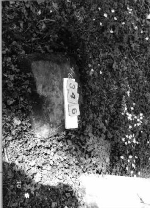 Grabstein 346 (Index: 99791952) Zustand: Fragment Besonderheit: kein Formblatt vorhanden: Grabstein 346