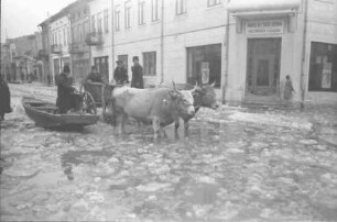 Giurgiu [Walachei]: Vereiste Straßendecke, Ochsenwagen, größer