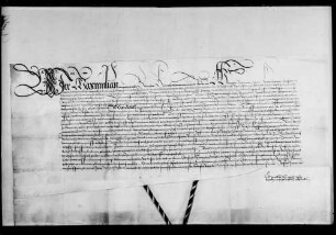 König Maximilian bestätigt dem Grafen Eberhard d. Ä. das Privileg Kaiser Karls IV. von 1361 Dez. 10 betr. die Strafgewalt über seine Diener (WR 641).