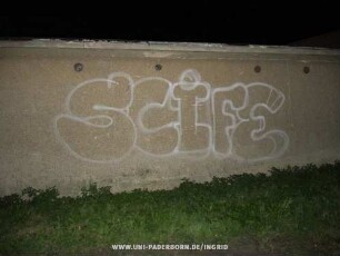 SCiFE