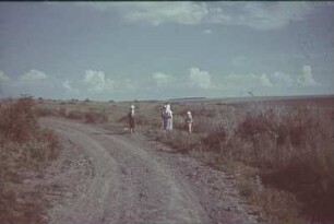 Zweiter Weltkrieg. Zur Einquartierung (wahrscheinlich in der Ukraine). Unbefestigte Landstraße mit einer Gruppe von Bäuerinnen