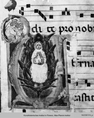 Chorbuch : Buchseite mit vierzeiligen Neumen, Text und historisierter Initiale mit Mariae Himmelfahrt