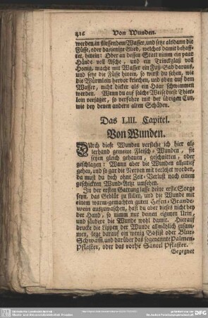 Das LIII. Capitel. Von Wunden