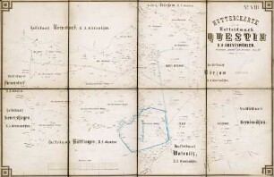 N° VIII; Muttercharte von der Hoffeldmark Questin. D.A. Grevismühlen