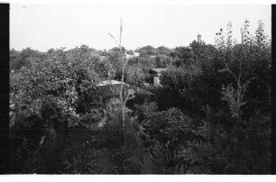 Kleinbildnegative: Kleingärten, Schöneberger Südgelände, 1980