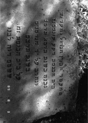 Gedenksteine (Detailaufnahme 2)
