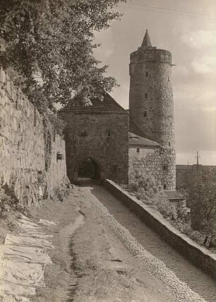 Bautzen. Mühltor von außen, mit Bäumen