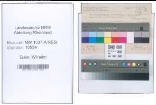 Entnazifizierung Wilhelm Euler , geb. 00.00.0000 (Techn.Bahninspektor)