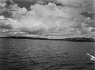 Der Victoriasee : Ufer des Victoriasees