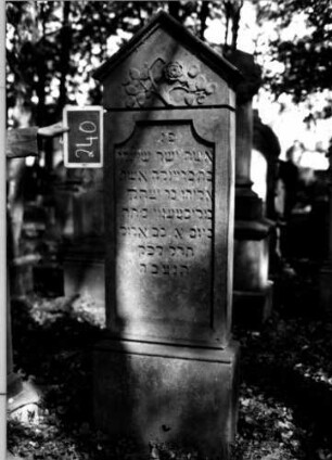 Grabstein 240 (Index: 100112130) Material: Sandstein Zustand: leicht verwittert Maße HxBxT: 183x59x33 cm Beschreibung: Stele, profilierter Sockel, giebelartiger Abschluß mit Verdachung, Schriftfeld eingetieft, oben mit rund eingezogenen Ecken Symbolik: geknickte Rose: Grabstein 240
