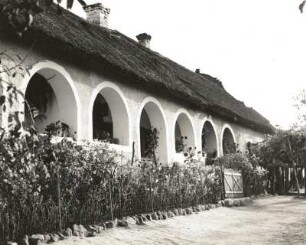 Szigliget am Balaton, Ungarn. Bauernhaus mit Laubengang und Schilfdach, davor Bauerngärtchen