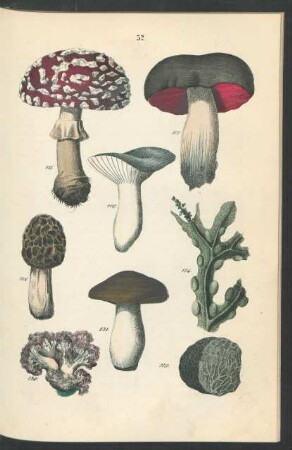 Tafel 32.