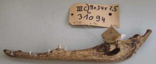 Amulett für gigantische Kraft