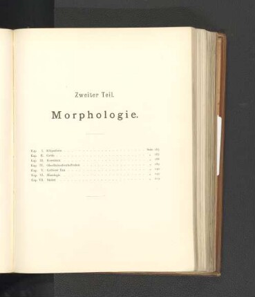 Zweiter Teil. Morphologie.