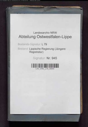 Revision des Magistrats und des Stadtgerichts in Lemgo - Band 1