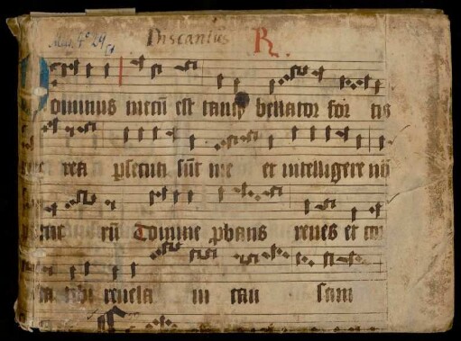 Geistliche Vokalmusik. Discantus/Superius/Cantus : 16. Jh.