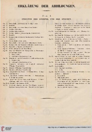 Erklärung der Abbildungen / Tafel I - VII