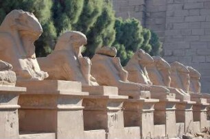 Luxor - Im Karnak Tempel : Allee widderköpfiger Sphingen am Eingang des Amun-Tempels von Karnak in Luxor, aufgenommen 2006