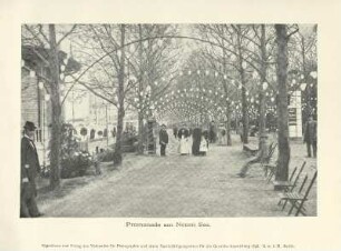 Promenade am Neuen See