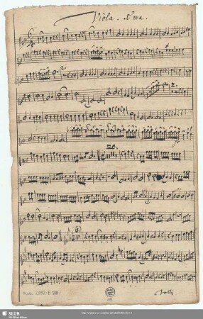 Viola. 1ma.