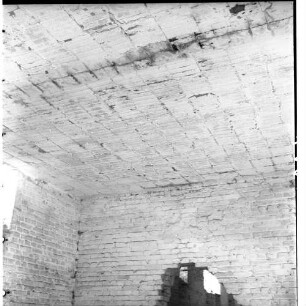 Negativ: Ruine, Grazer Damm 223, 1954