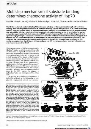 Multistep mechanism of substrate binding determines chaperone activity of Hsp70