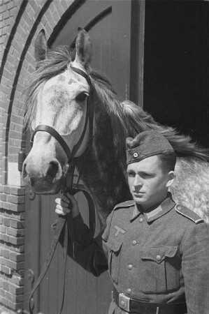 Zweiter Weltkrieg. Niederlande unter deutscher Besatzung. Wehrmachtsangehöriger, ein Pferd am Zügel aus dem Stall führend (wohl bei Den Haag)
