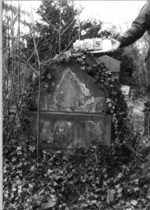 Grabstein 395 (Index: 100093395) Zustand: verwittert Maße HxBxT: 94x74x33 cm Symbolik: Davidstern: Grabstein 395