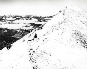 Blick auf das Fellhorn und die Allgäuer Berge