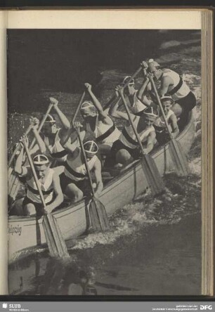 Regatta
