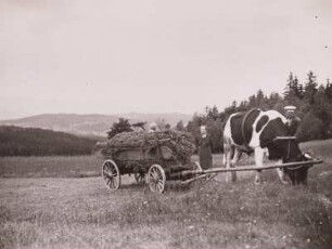 Tschechien, Böhmerwald, Kastenwagen, halboffen