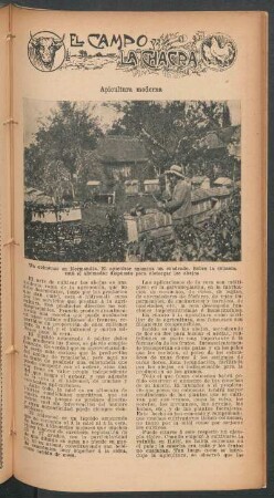 Apicultura moderna : El campo y la chacra