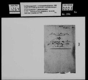 Wahl der ritterschaftlichen Abgeordneten des Neckarkreises für den Landtag 1868