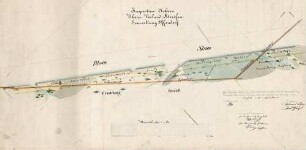 Inspection Achern. Rhein-Vorland-Streifen Gemarkung Offendorf