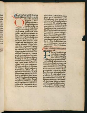 19r-39v, Duo libelli ad fratres de monte dei