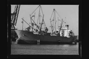 Bärenfels (1976), Frachtschiff, D.D.G. "Hansa", Bau-Nr. 613