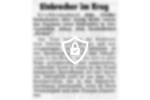 Einbrecher im Krug