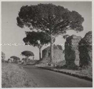 Rom, Via Appia Antica
