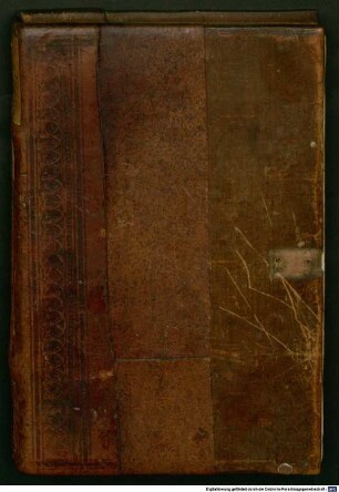 Excelle[n]tissimi Magnini Mediolanensis Medici Famosissimi Regimen sanitatis