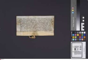 Altdorf: Peter Wolffrum von Schaafheim, der früher in Altdorf gewohnt hat, bezeugt die Altdorfer Grenze am Hauweg etc. Winther und Wasen siegelt