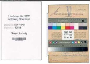 Entnazifizierung Ludwig Sauer , geb. 04.05.1886 (Lademeister)
