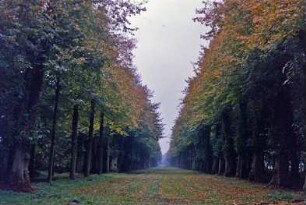 Jersbeker Park: Hauptallee: 19. Oktober 2001