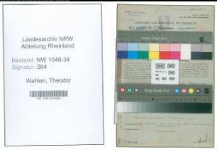 Entnazifizierung Theodor Wahlen , geb. 05.04.1920 (Arzt)