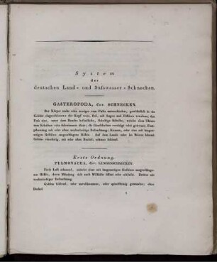 Erste Ordnung. Pulmonacea, Cuv. Lungenschnecken.
