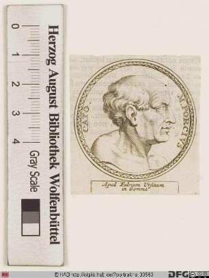 Bildnis Marcus Porcius Cato (gen. maior oder censorius)