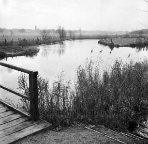 Wolkenweher Moor: Trave: links eine Brücke, vorne und im Hintergrund Pflanzen