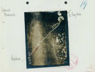 Foto des Geländes nordöstlich von Barleux (Luftbild)