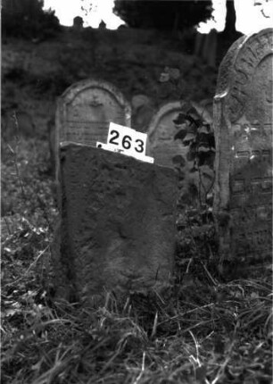 Grabstein 263